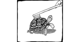 Drawing of Tortoise by Danpah