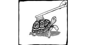 Schildkröte-Zeichnung von Danpah