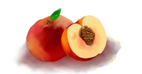 Drawing of Peach by Ryu