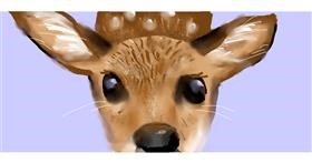 Drawing of Deer by rodgrico