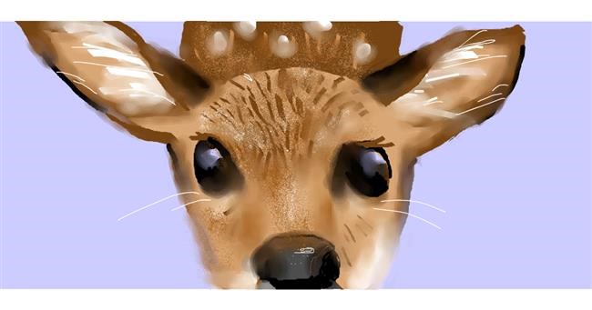 Drawing of Deer by rodgrico