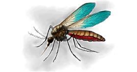 Drawing of Mosquito by Ryōmen