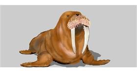 Drawing of Walrus by Kim