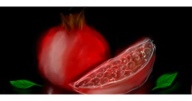 Drawing of Pomegranate by 67677676767676767