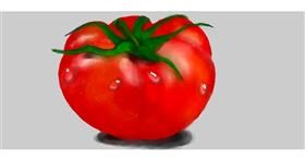 Drawing of Tomato by Debidolittle