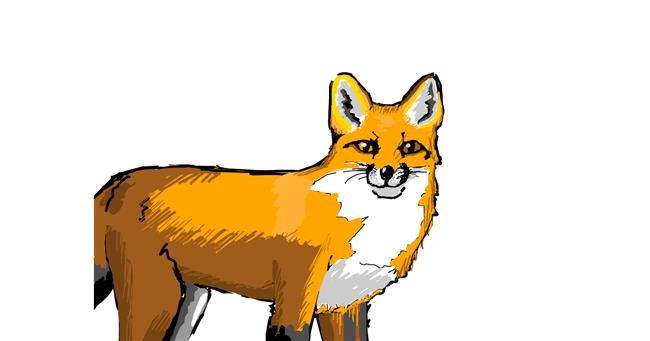 Fuchs-Zeichnung von Dokara