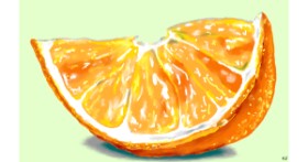 Drawing of Orange by Flowerpot