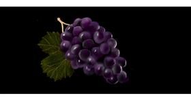 Drawing of Grapes by Chaching