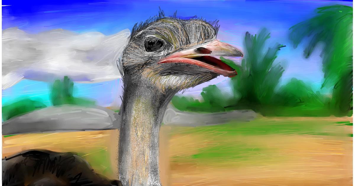 Drawing of Ostrich by Soaring Sunshine