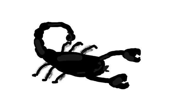 Drawing of Scorpion by Jennalyn