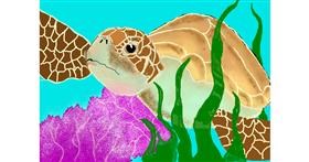 Drawing of Sea turtle by Debidolittle