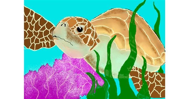 Drawing of Sea turtle by Debidolittle