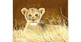 Drawing of Lion by GJP