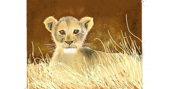 Drawing of Lion by GJP