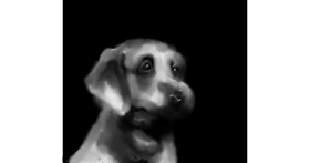 Drawing of Dog by Joze