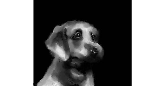Hund-Zeichnung von Joze