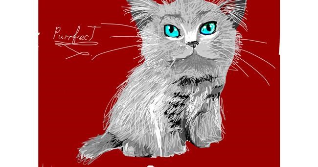 Drawing of Kitten by roserocket