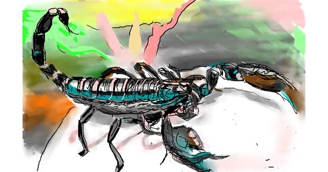 Drawing of Scorpion by Herbert