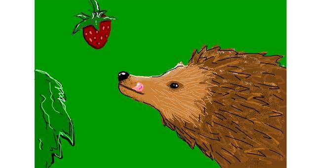 Drawing of Hedgehog by Stegosaurus