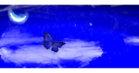 Drawing of Butterfly by Vivian