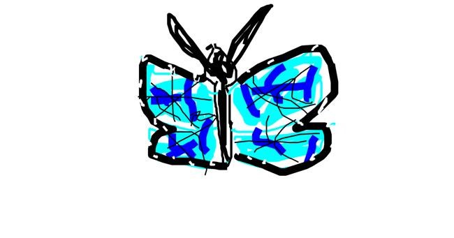 Drawing of Butterfly by Derp