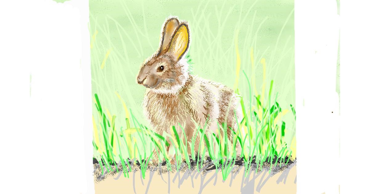 Drawing of Rabbit by GJP