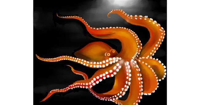 Drawing of Octopus by Tokyo