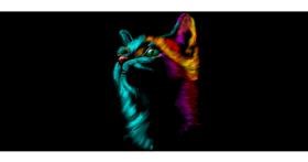 Mače - autor: Annie