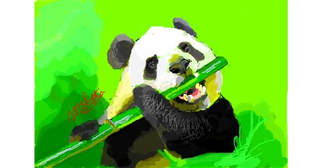 Drawing of Bamboo by MooMel