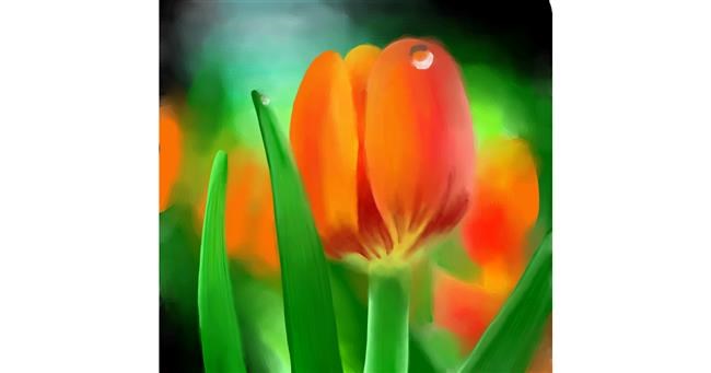 Drawing of Tulips by RadiouChka