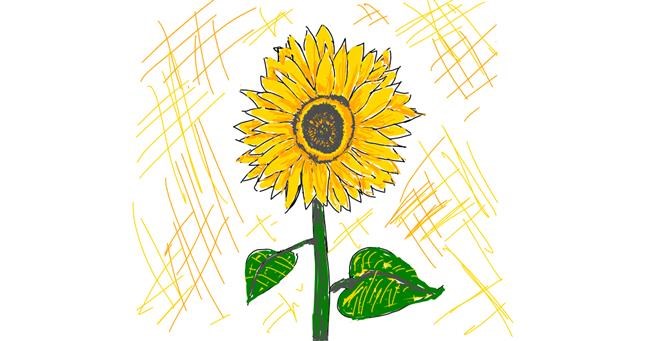 Drawing of Sunflower by Llama