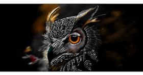 Sova - autor: Chaching