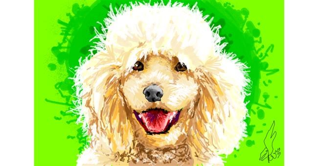 Drawing of Poodle by WindPhoenix
