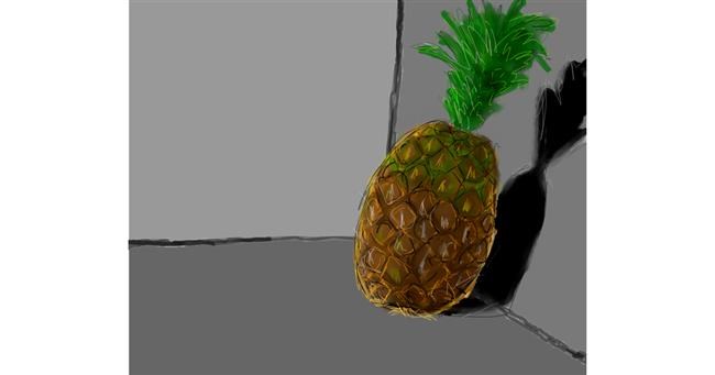 Drawing of Pineapple by Labyrinth