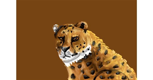 Drawing of Cheetah by Mia