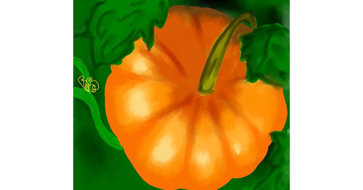 Drawing of Pumpkin by Joze