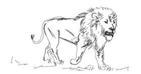 Drawing of Lion by Your Elbow