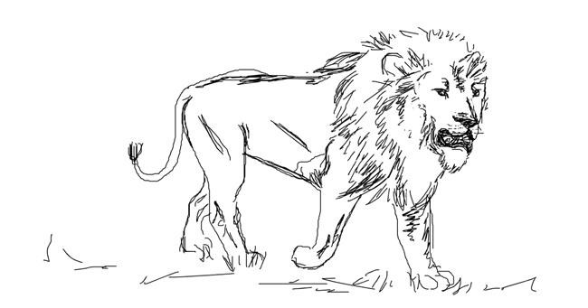 Drawing of Lion by Your Elbow