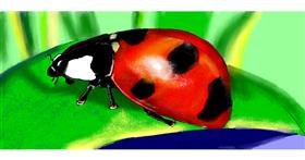 Drawing of Ladybug by Kim