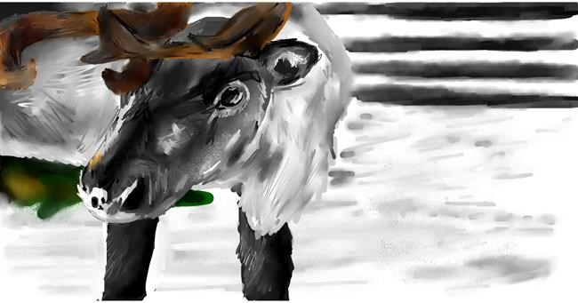 Drawing of Reindeer by Effulgent Emerald