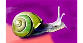Drawing of Snail by Herbert