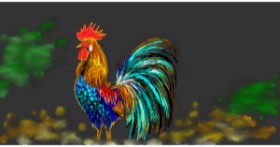 Drawing of Rooster by Eclat de Lune