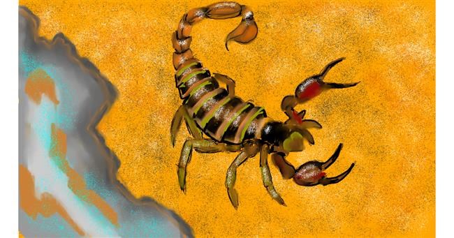 Drawing of Scorpion by SAM AKA MARGARET 🙄