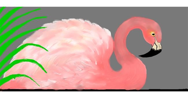Drawing of Flamingo by Debidolittle