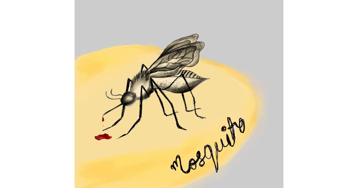 Drawing of Mosquito by Jinx
