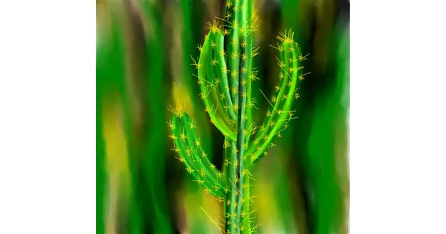Drawing of Cactus by Yashi 🐢