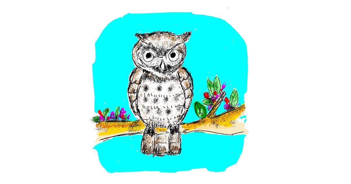 Drawing of Owl by Lsk