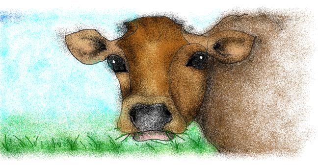 Drawing of Cow by Anastasia