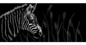 Zebra - autor: Annie