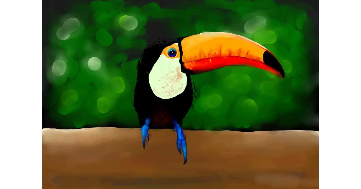 Drawing of Toucan by Dada